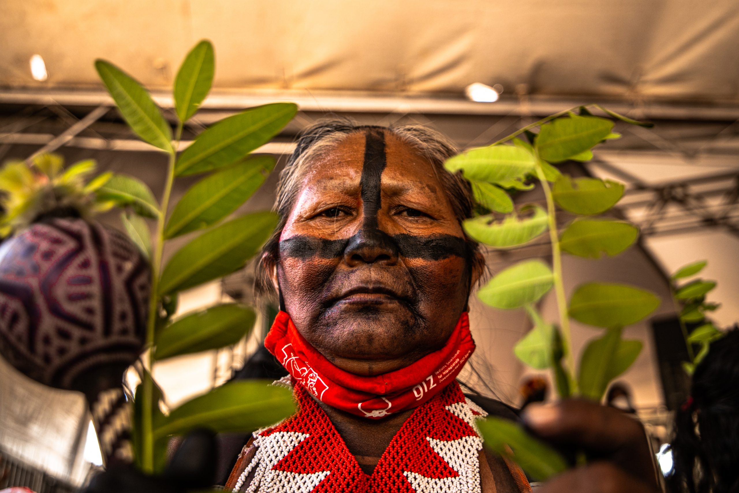 Mujer indígena entre plantas